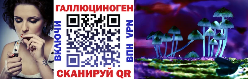 закладки  Ивантеевка  Галлюциногенные грибы Magic Shrooms 